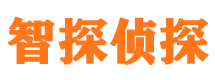 云浮市调查公司